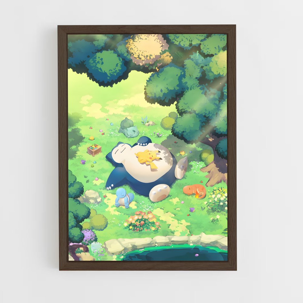 pokemon-17 cadre Bois foncé