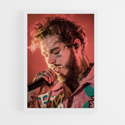 Post Malone Concert Poster