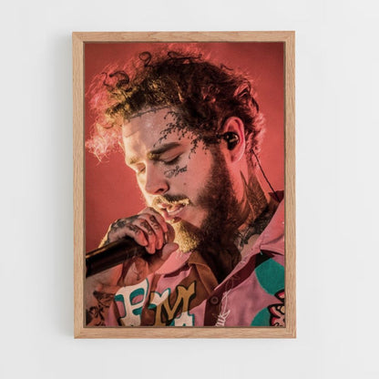 Post Malone Concert Poster