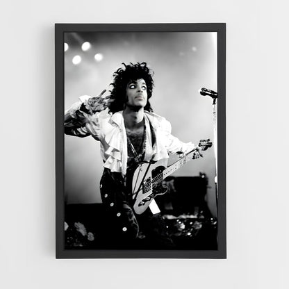 prince-2 cadre Noir
