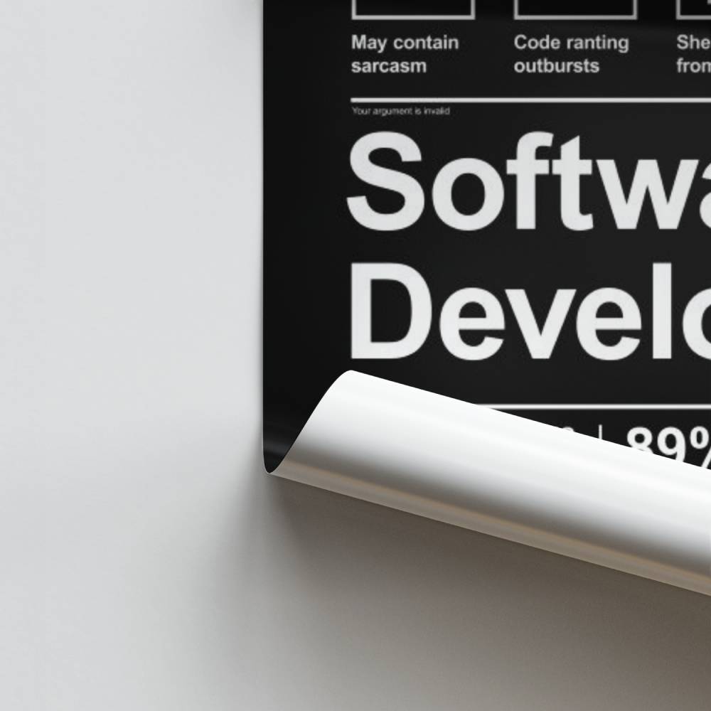 Post Software Developer | Aesthetic Posters