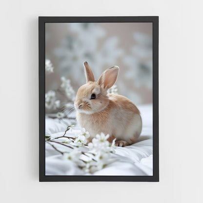 rabbit-1 cadre Noir