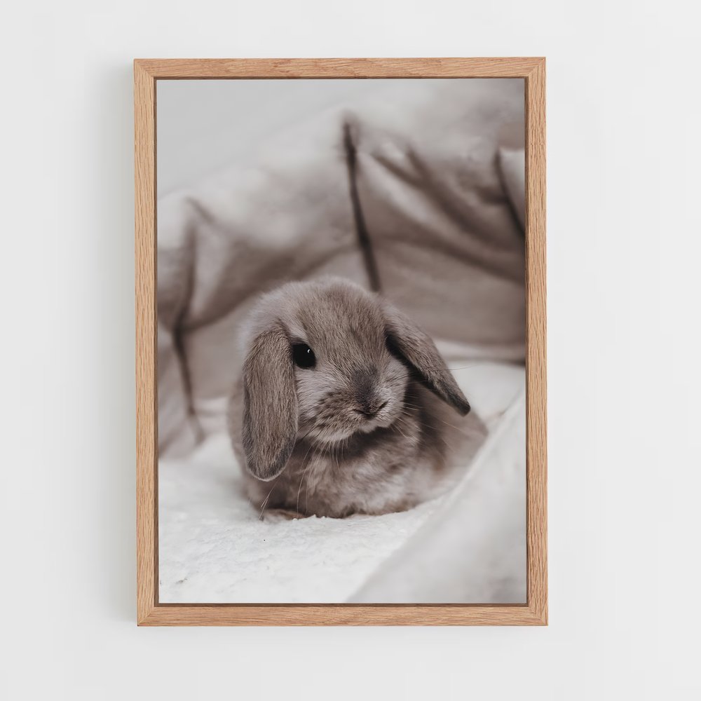 rabbit-8 cadre Bois clair
