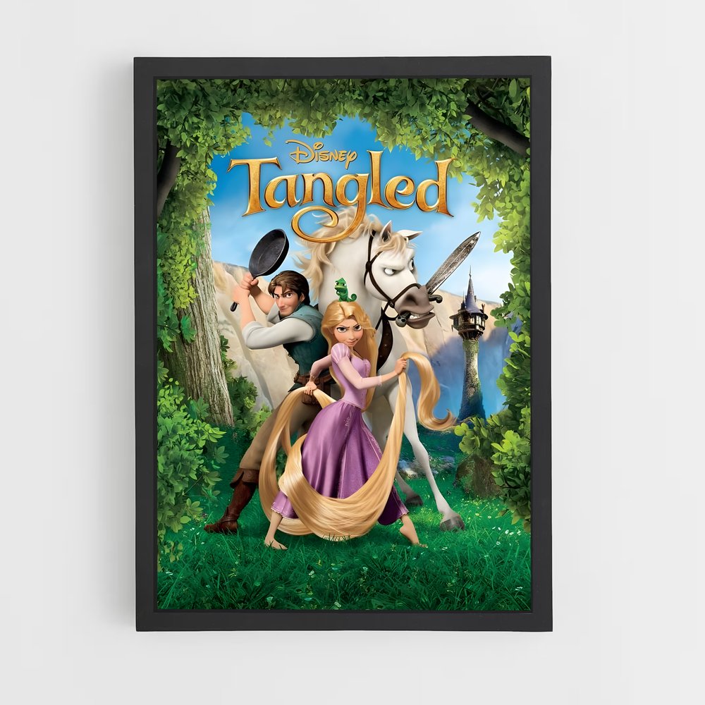 rapunzel-16 cadre Noir