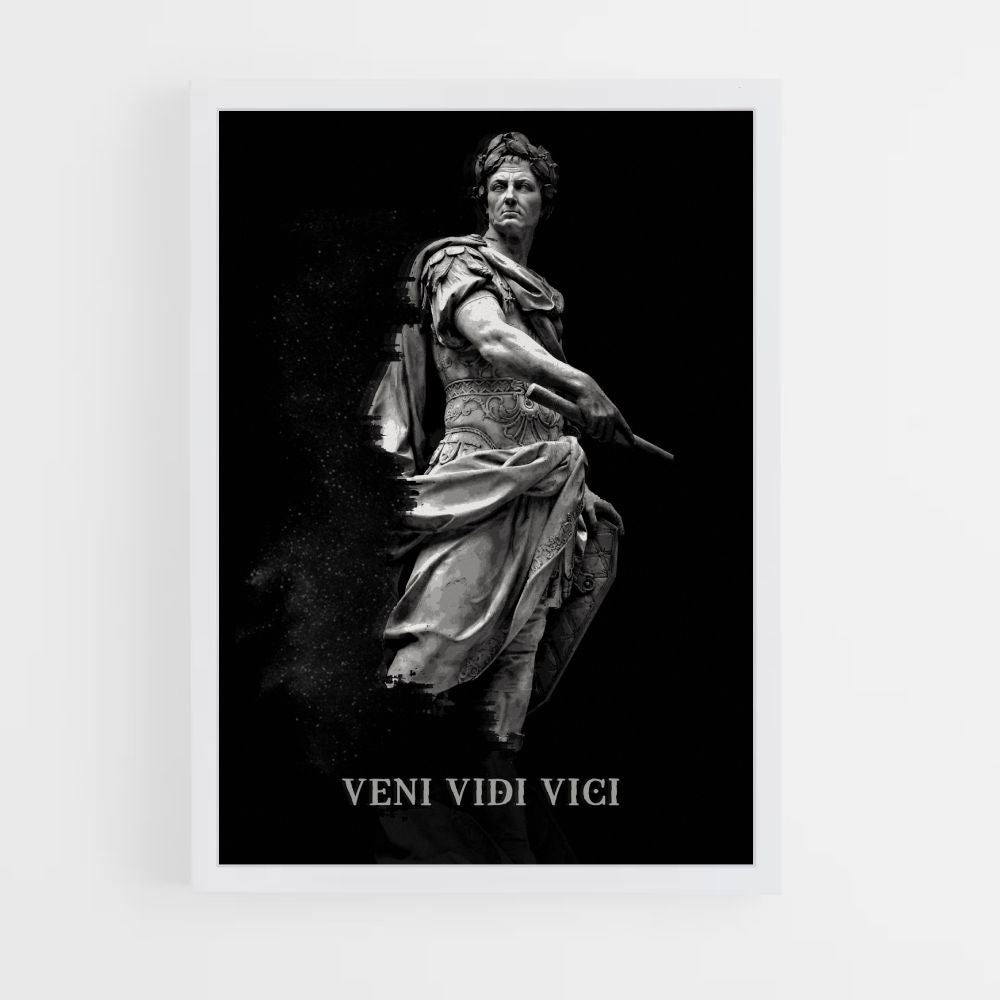 Poster Come, Vidi, Vici