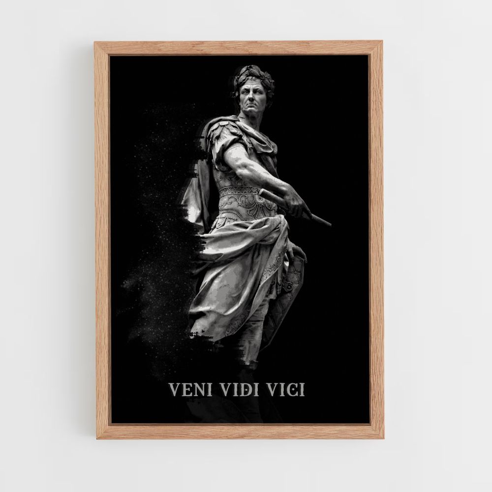 Poster Come, Vidi, Vici