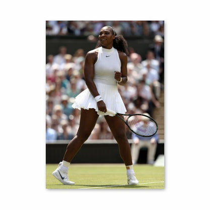 Serena Williams Skirt Poster