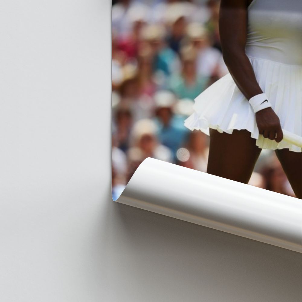 Serena Williams Skirt Poster