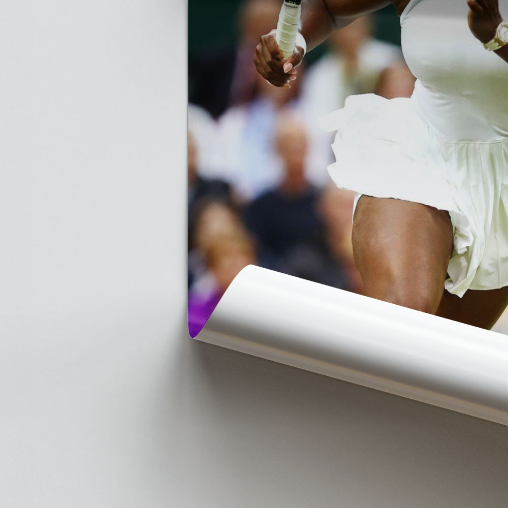 Serena Williams Race Poster