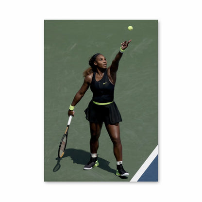 Williams Tennis Ball Poster