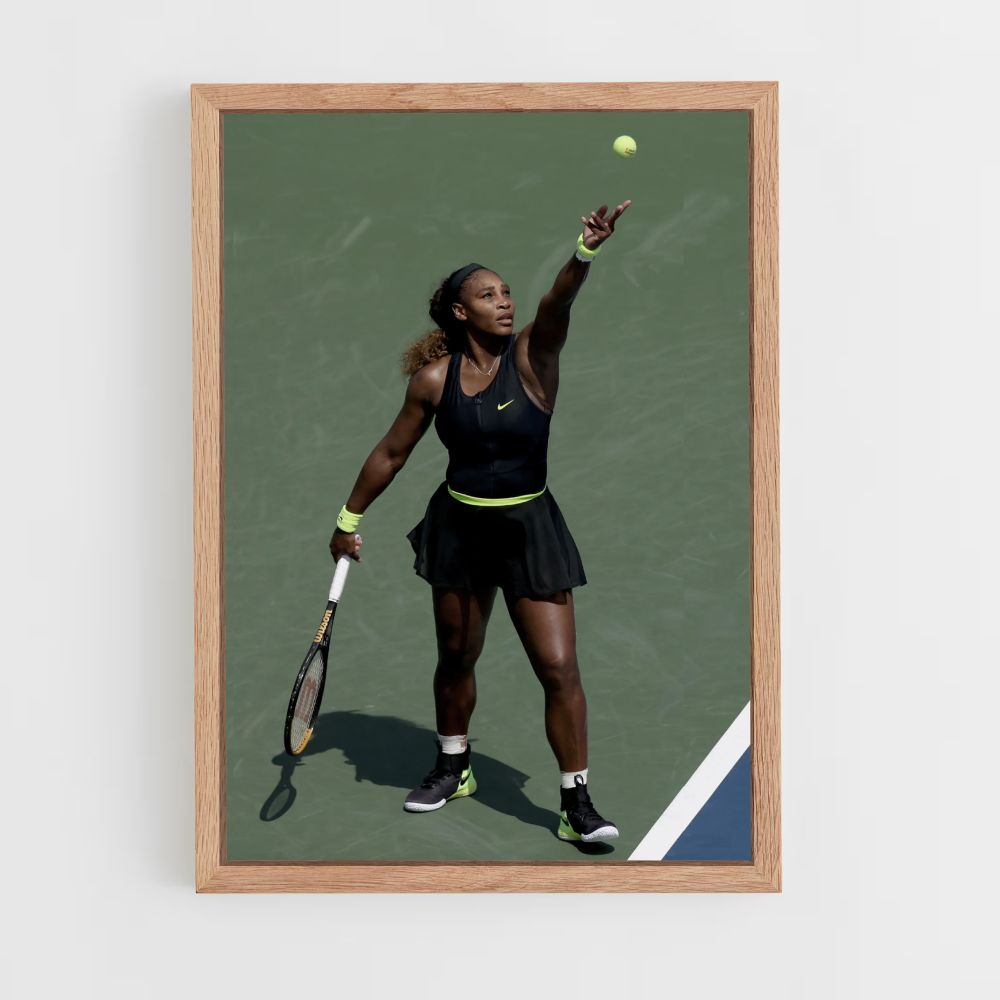 Williams Tennis Ball Poster