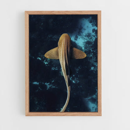 shark-12 cadre Bois clair