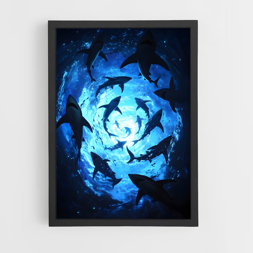 shark-3 cadre Noir