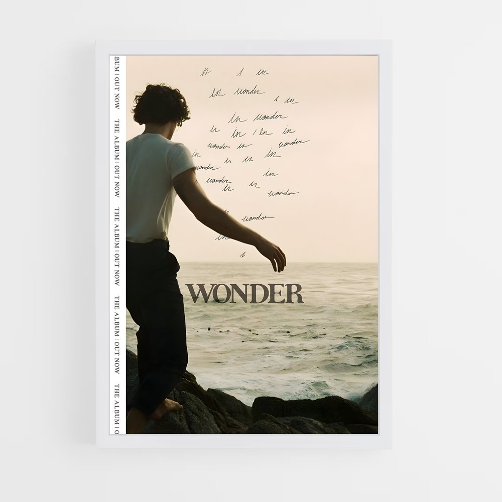 shawn-mendes-15 cadre Blanc