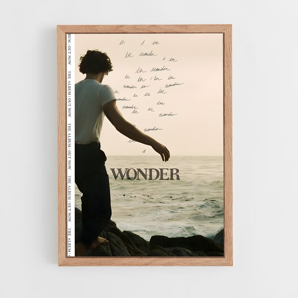 shawn-mendes-15 cadre Bois clair