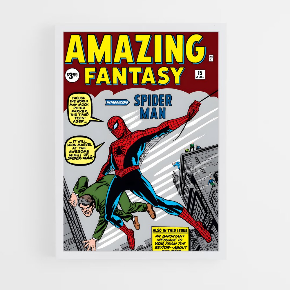 spiderman-3 cadre Blanc