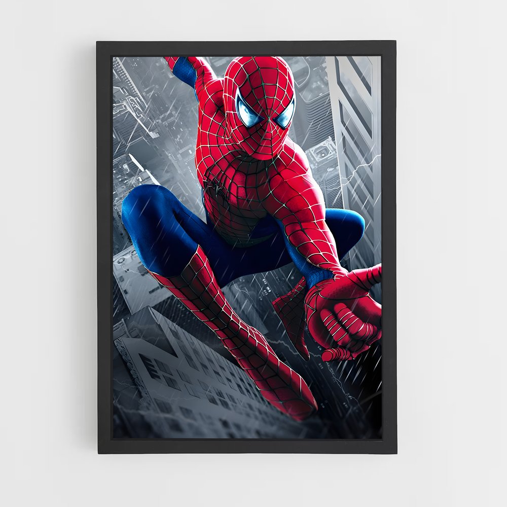 spiderman-4 cadre Noir
