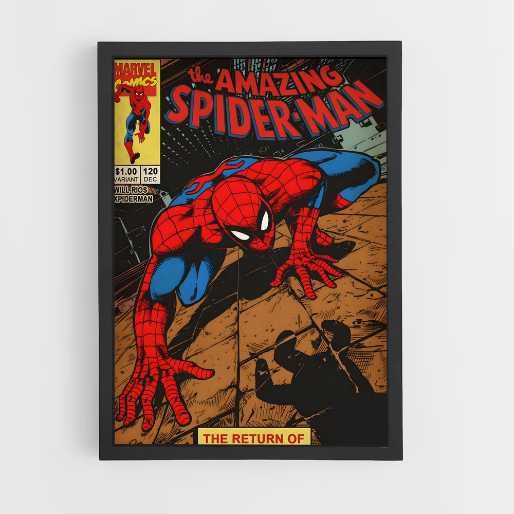 spiderman-8 cadre Noir