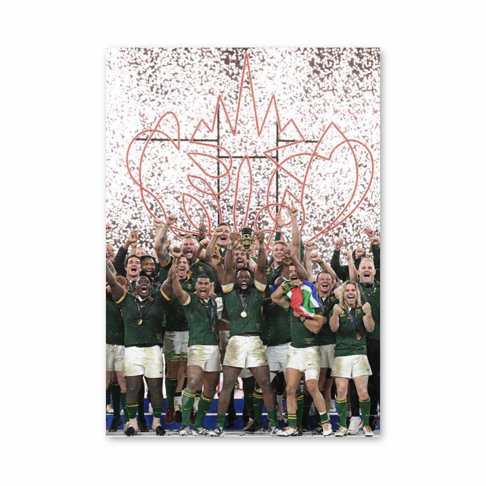 Springboks Printing Poster Victory of the Springboks | Aesthetic Posters