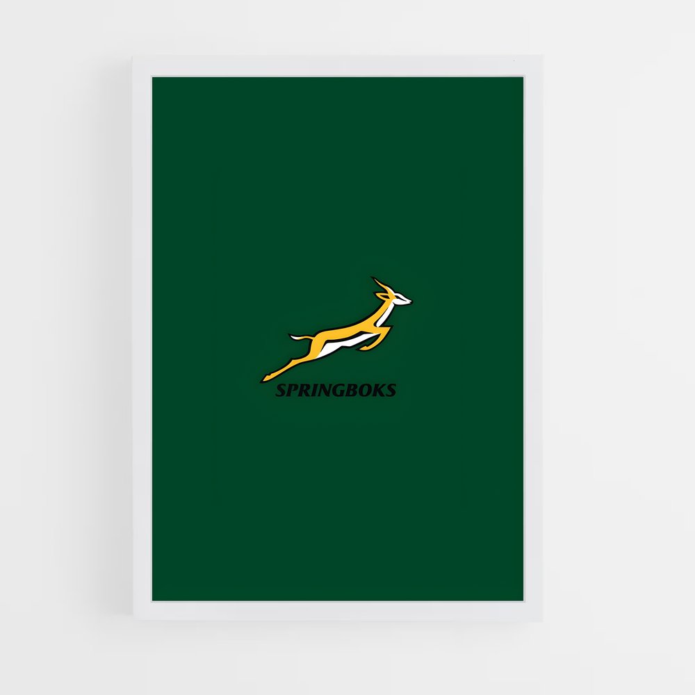 springboks-13 cadre Blanc