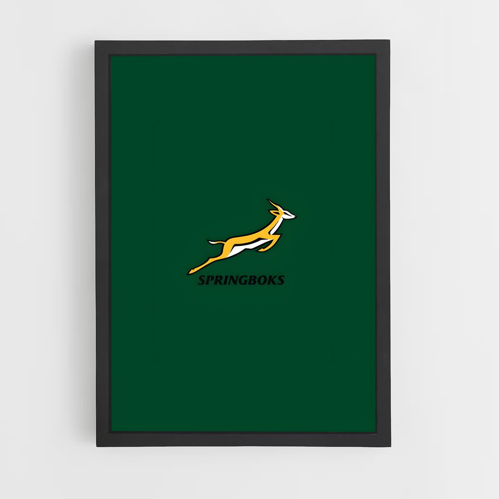 springboks-13 cadre Noir