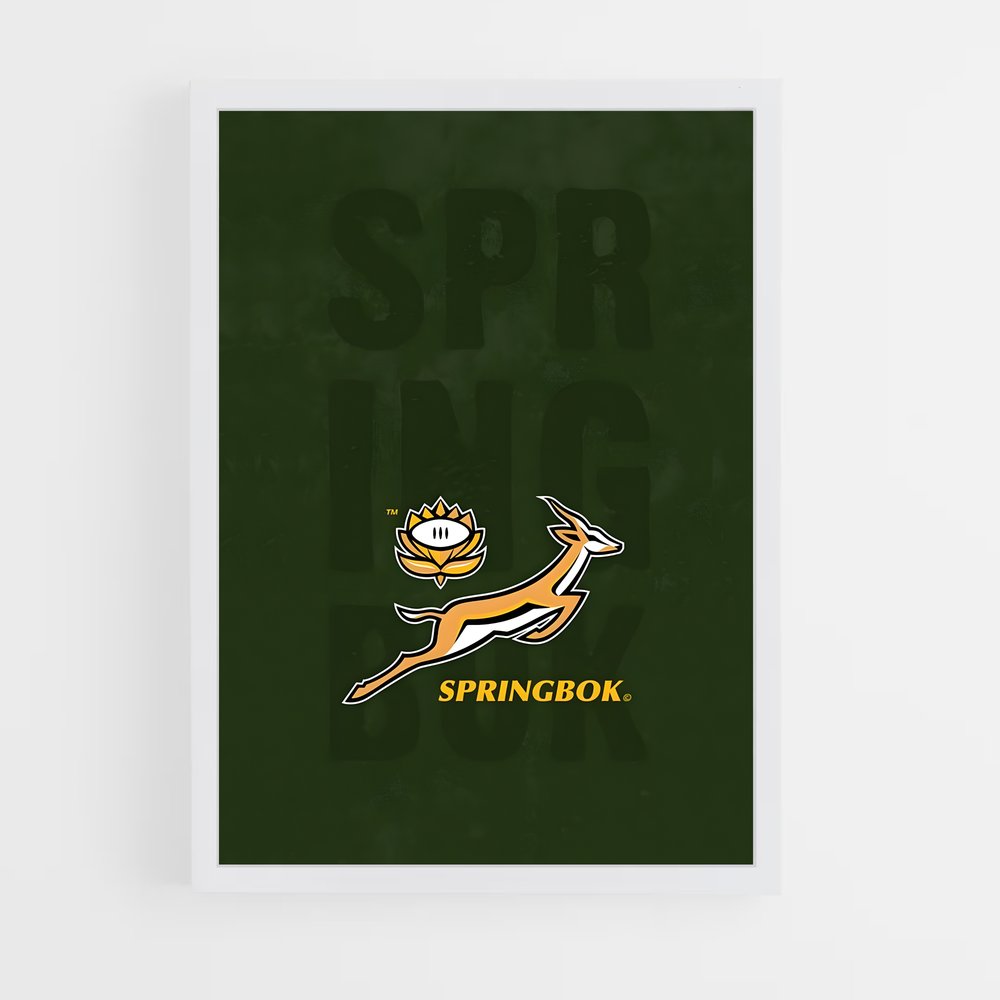 springboks-15 cadre Blanc