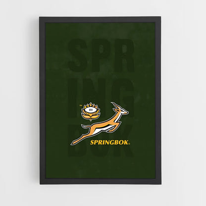 springboks-15 cadre Noir