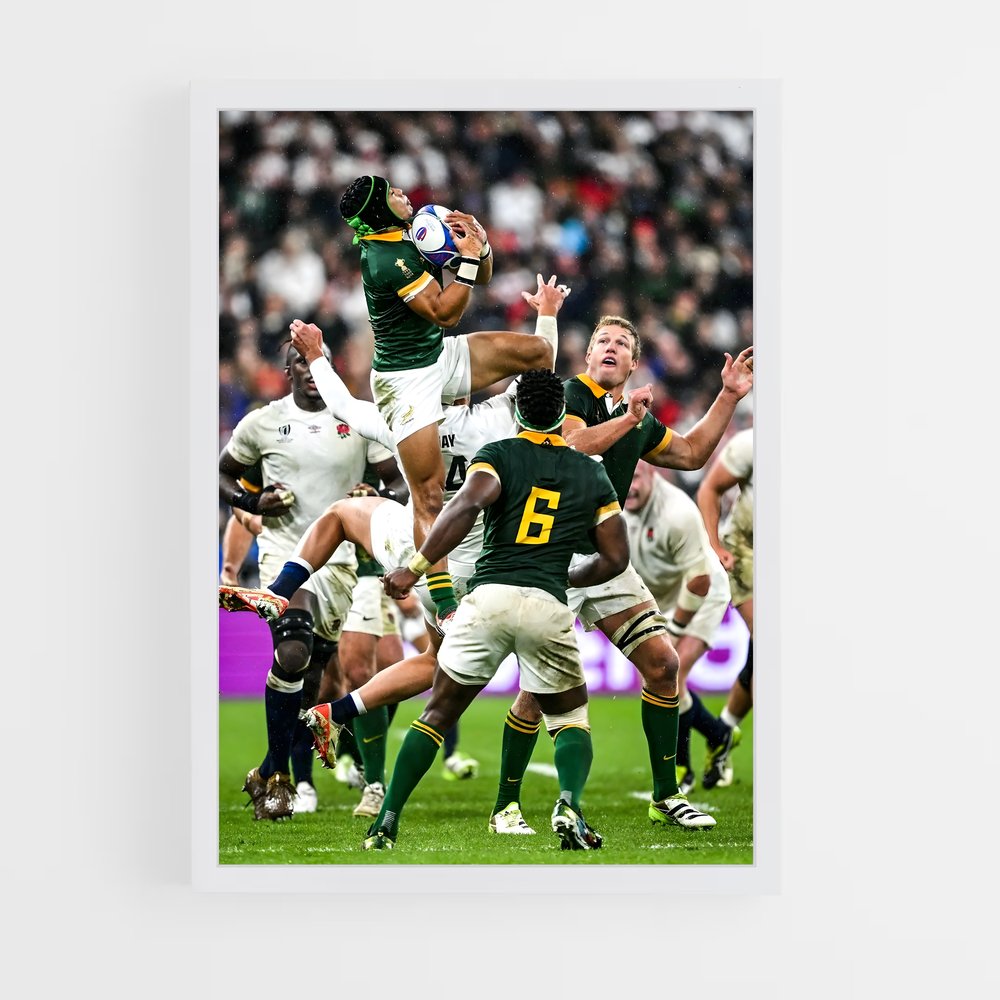 springboks-9 cadre Blanc