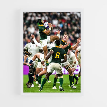springboks-9 cadre Blanc