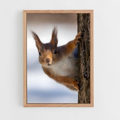 squirrel-1 cadre Bois clair