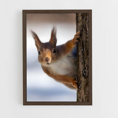 squirrel-1 cadre Bois foncé