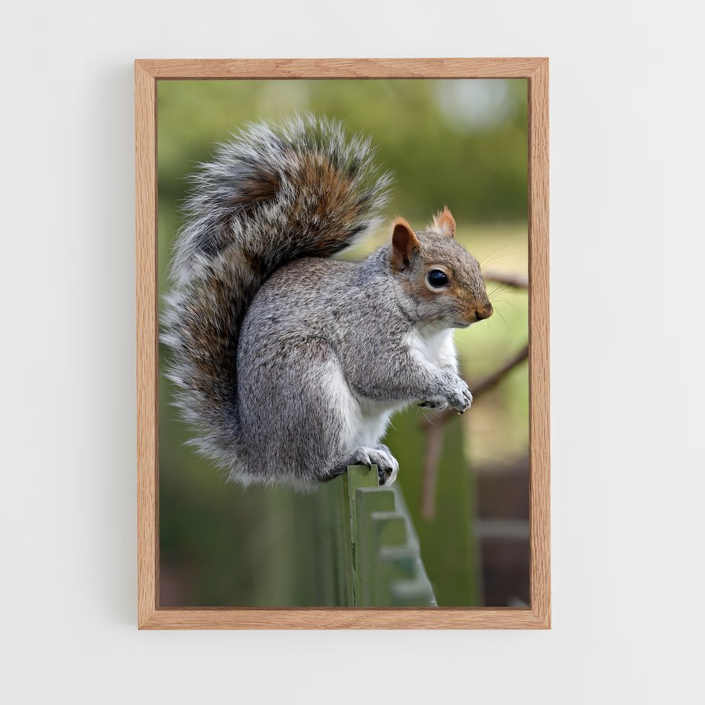 squirrel-3 cadre Bois clair