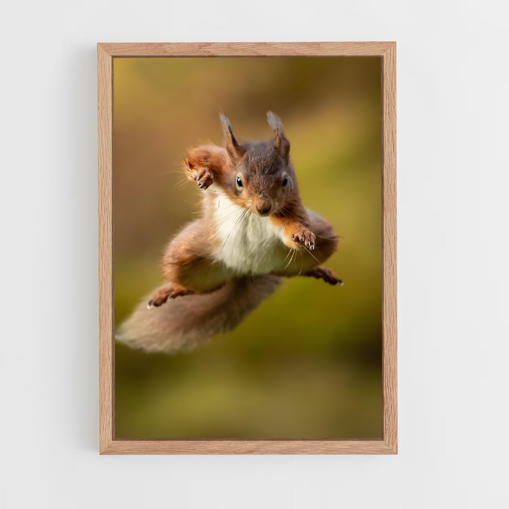 squirrel-4 cadre Bois clair