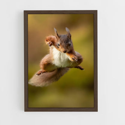 squirrel-4 cadre Bois foncé
