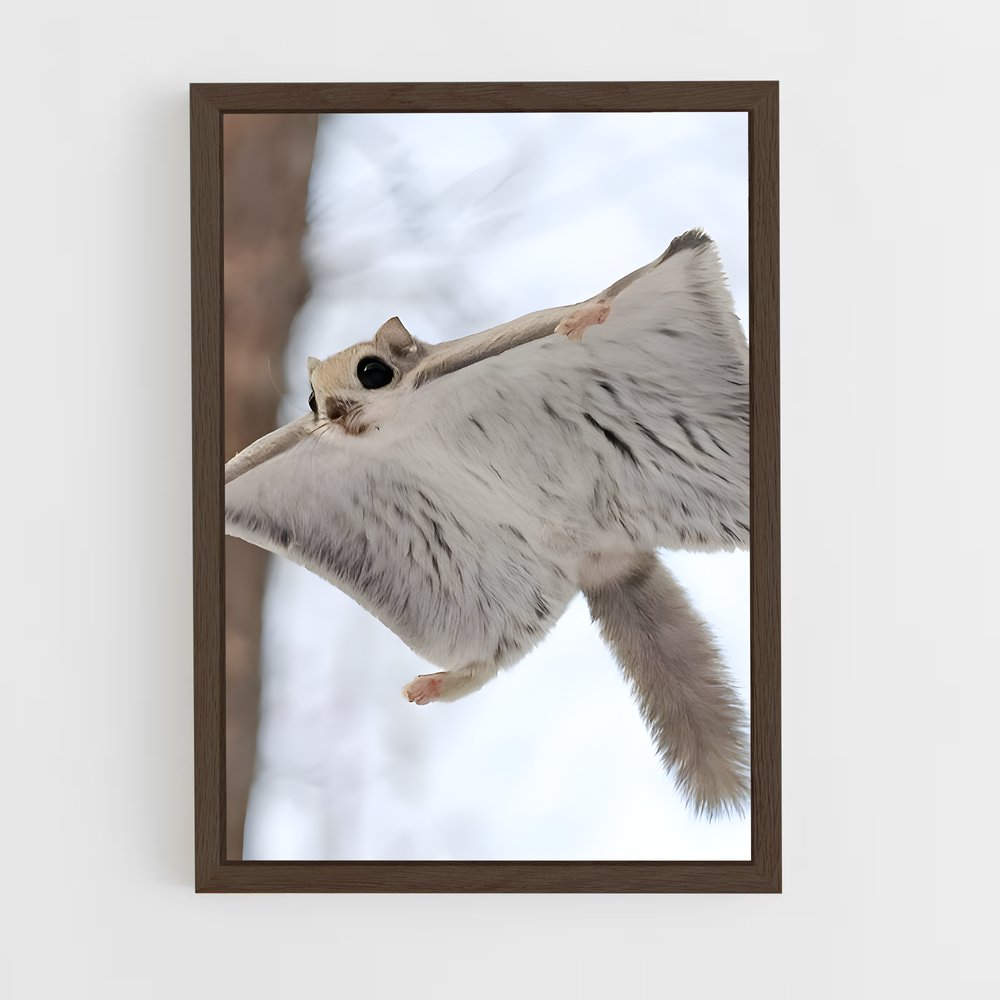 squirrel-6 cadre Bois foncé