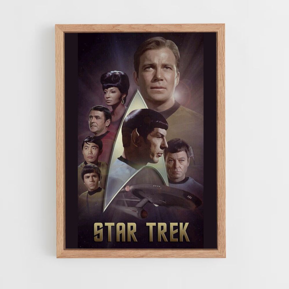 Star Trek Fan Poster