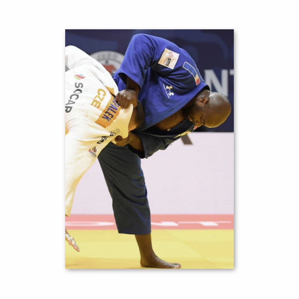 Poster Teddy Riner Judo