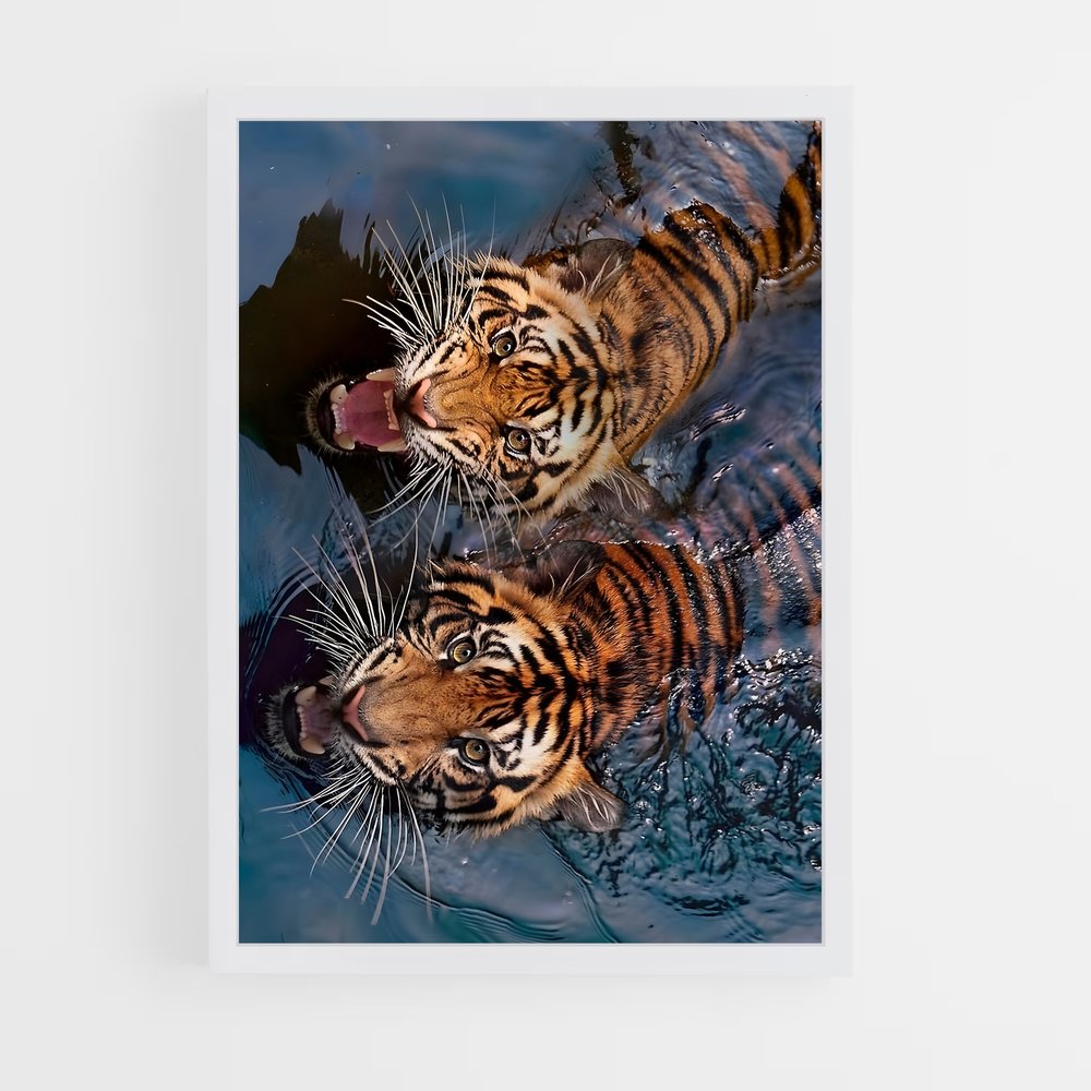 tiger-5 cadre Blanc