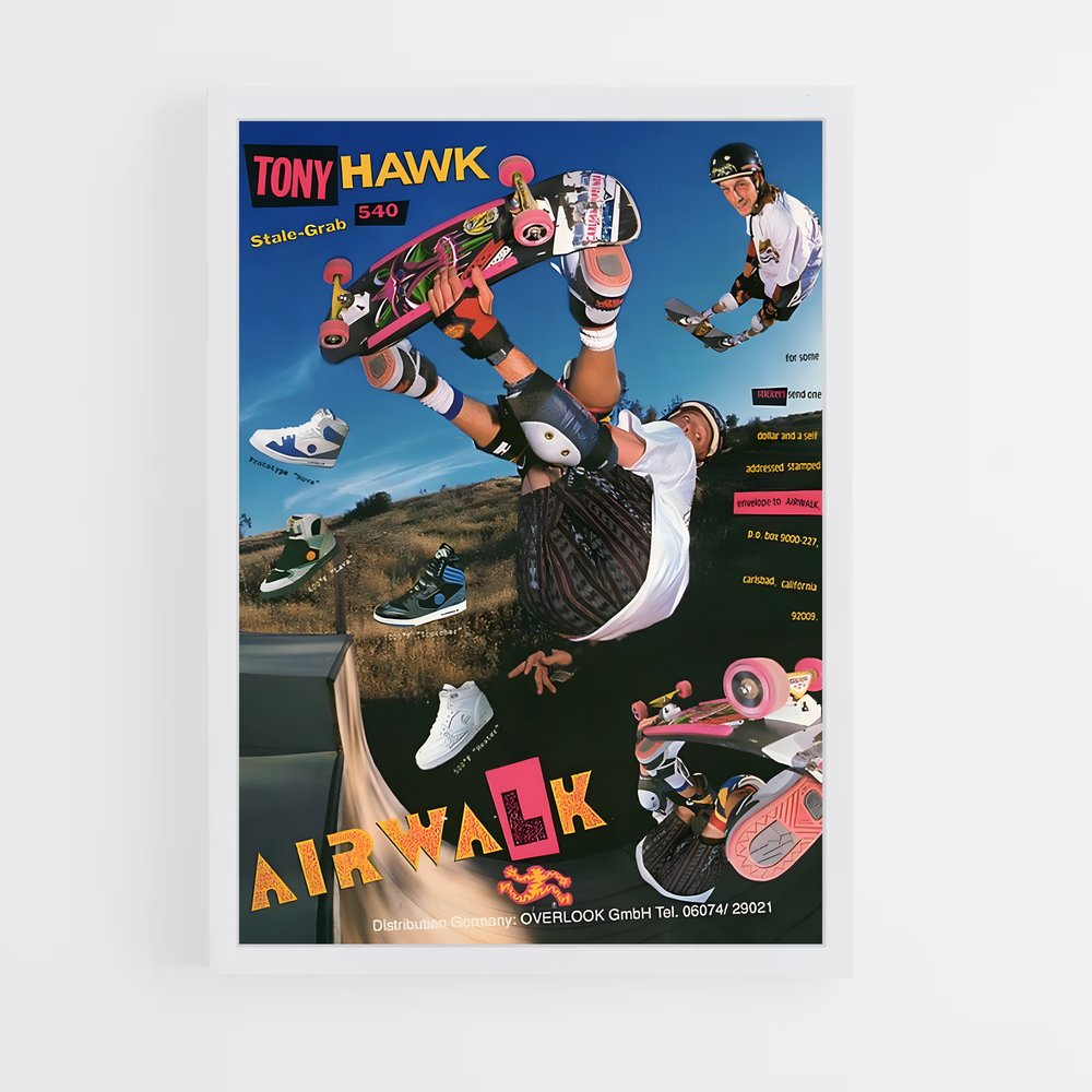 tony-hawk-1 cadre Blanc