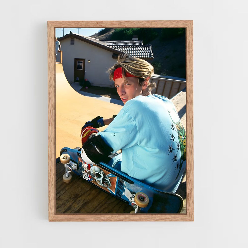 tony-hawk-2 cadre Bois clair