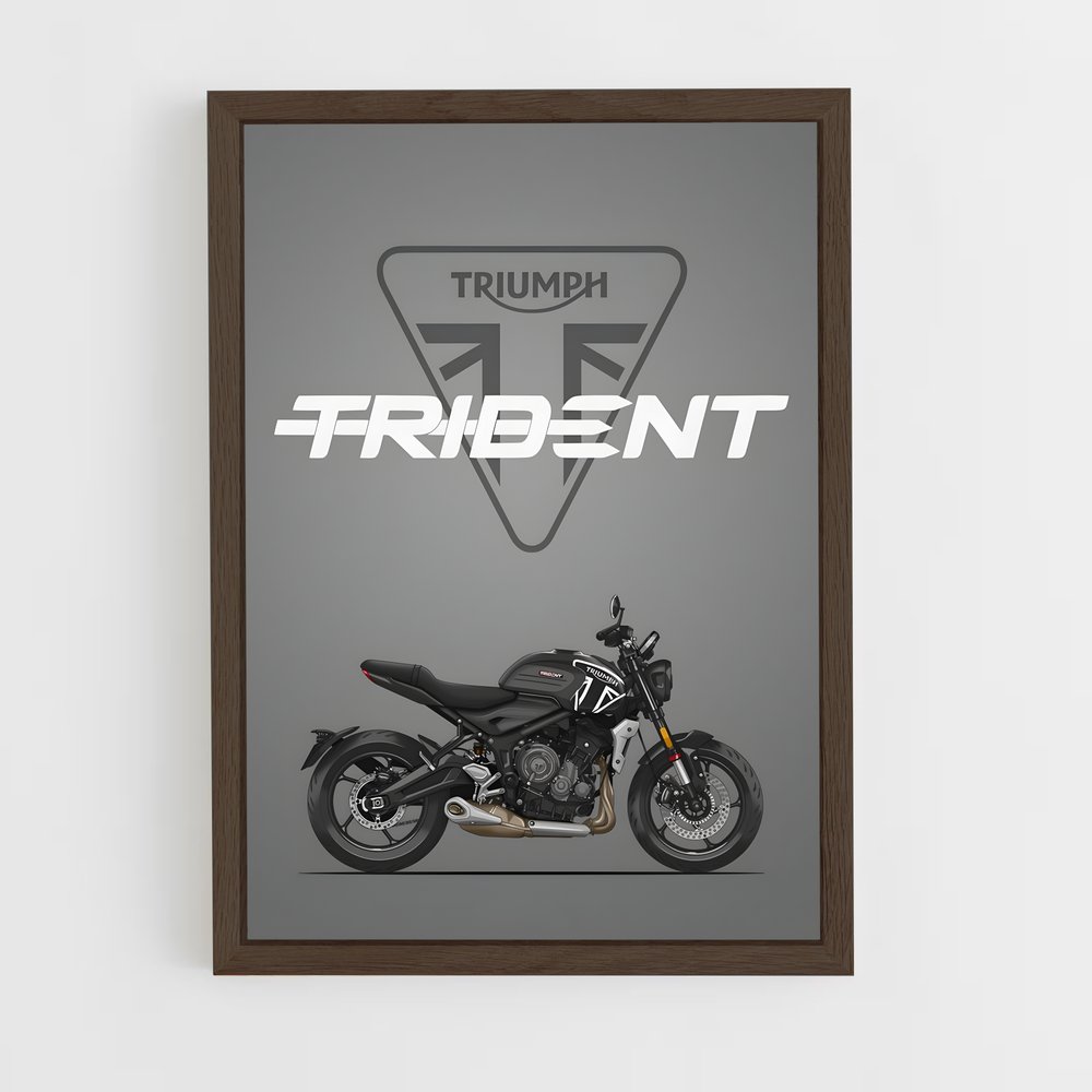 triumph-1 cadre Bois foncé