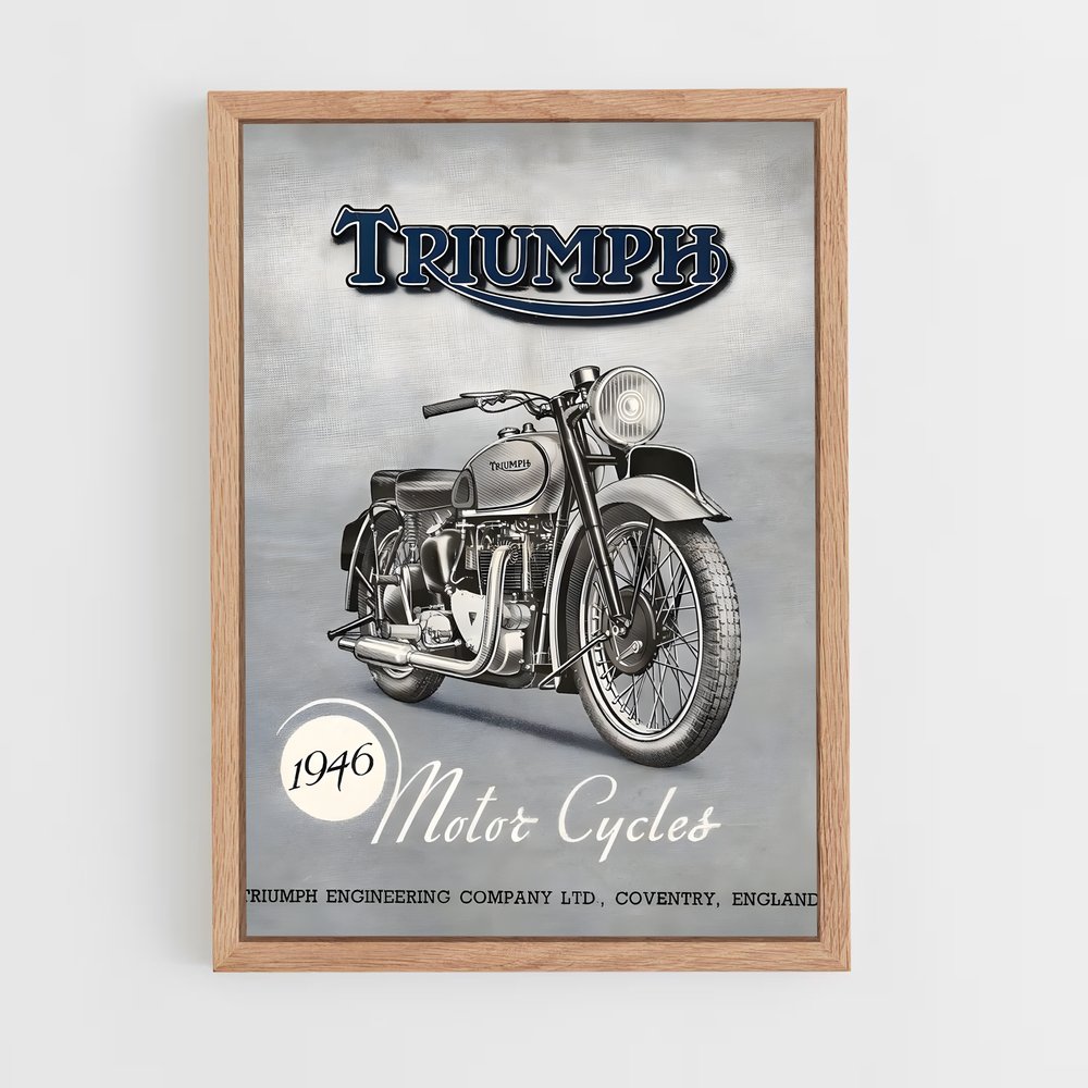 triumph-2 cadre Bois clair