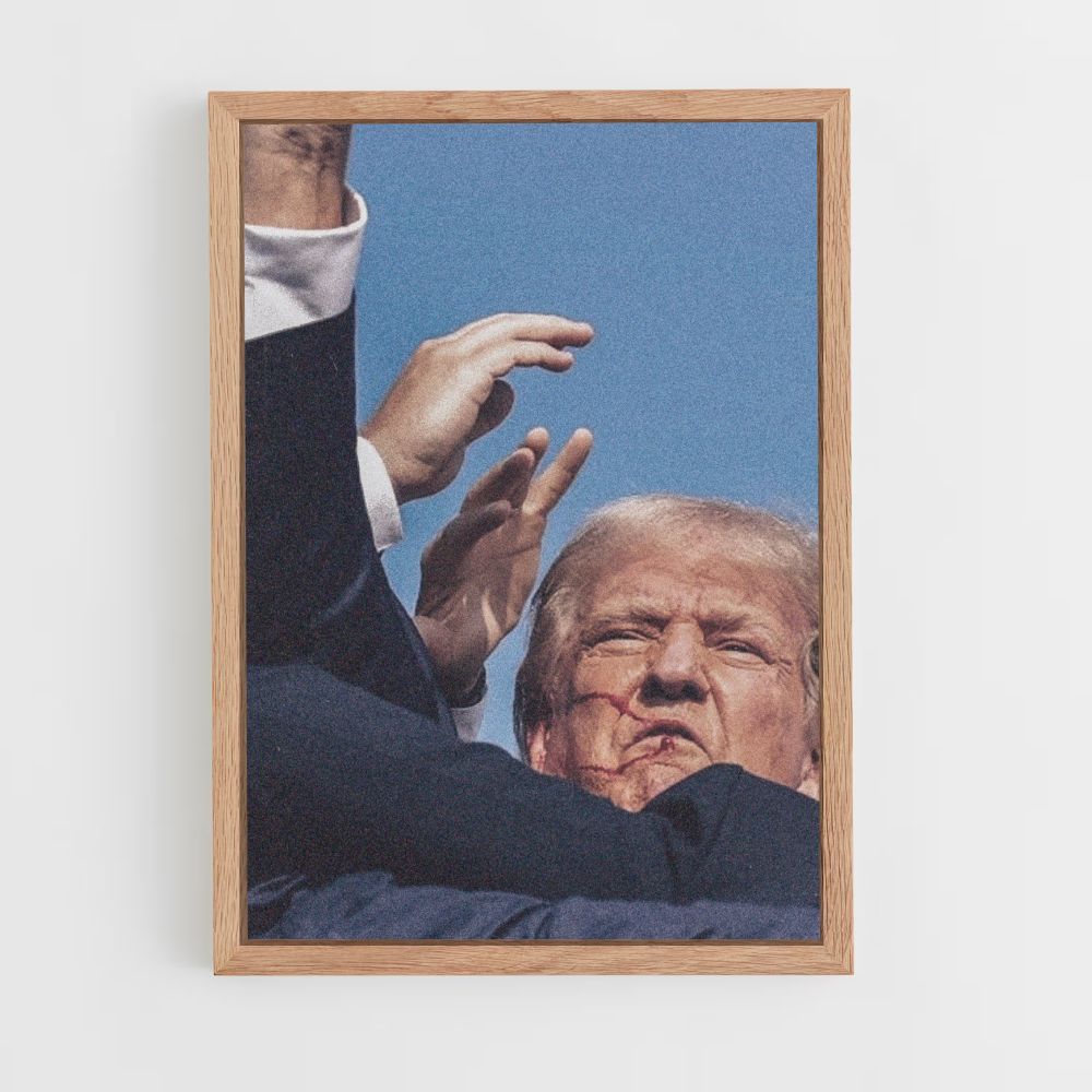 Affiche Trump-overwinning