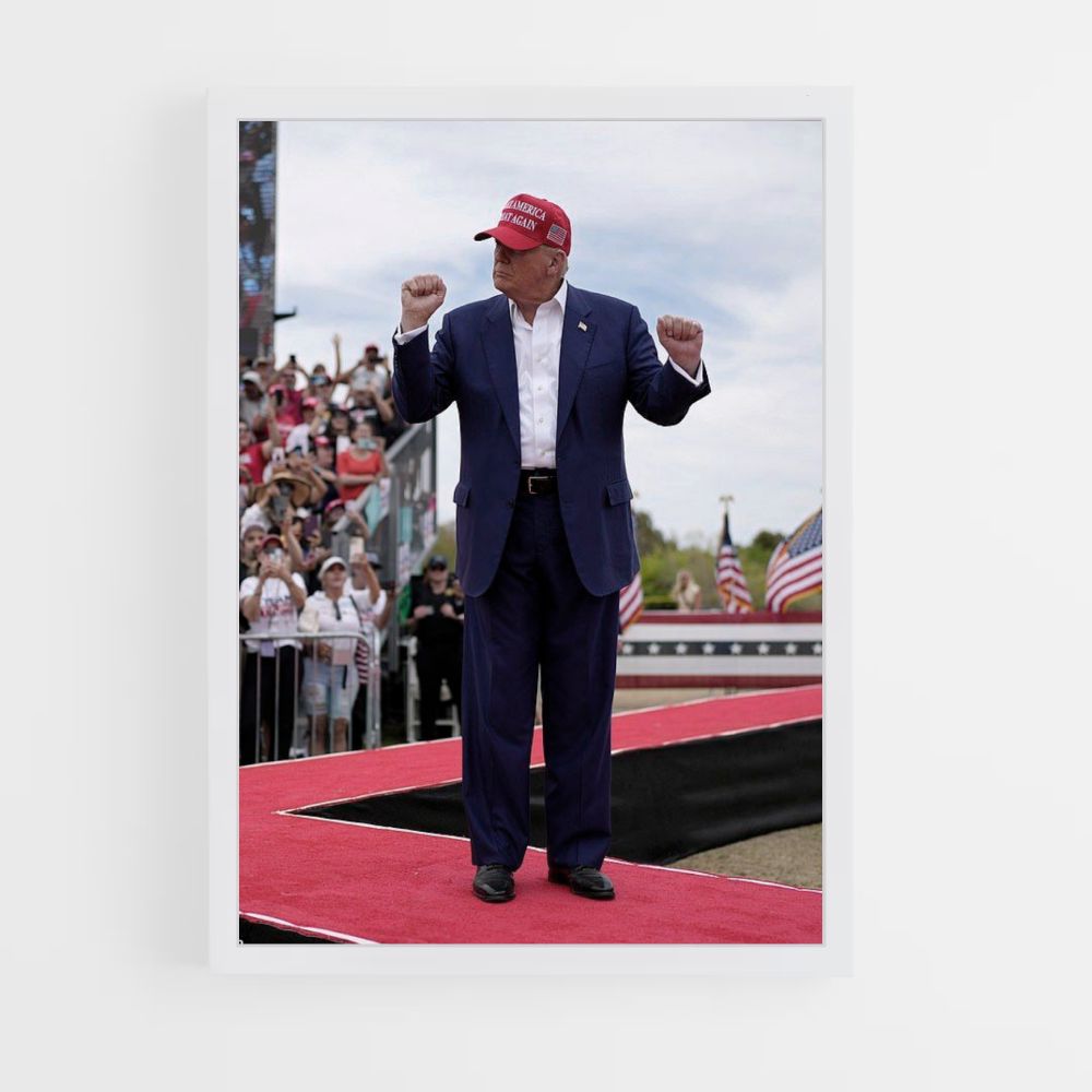 Poster Trump-dans