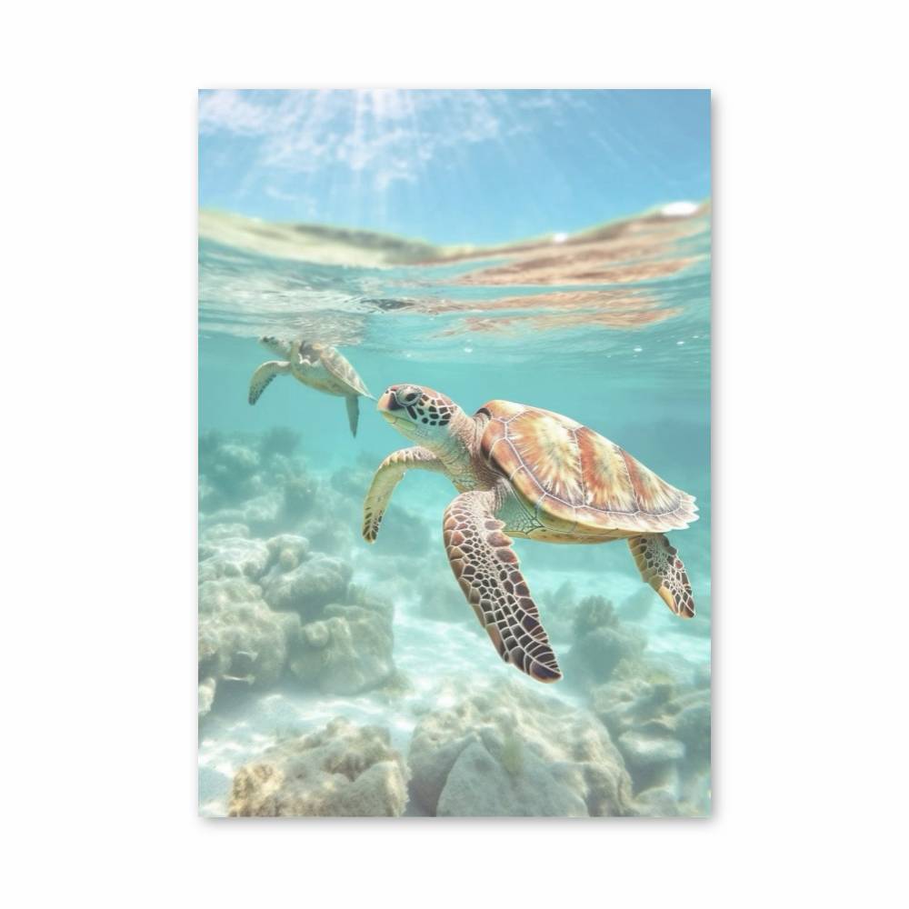 Poster Turtle Escape | Aesthetic Posters