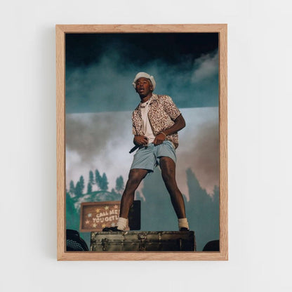 Tyler The Creator Concert Poster