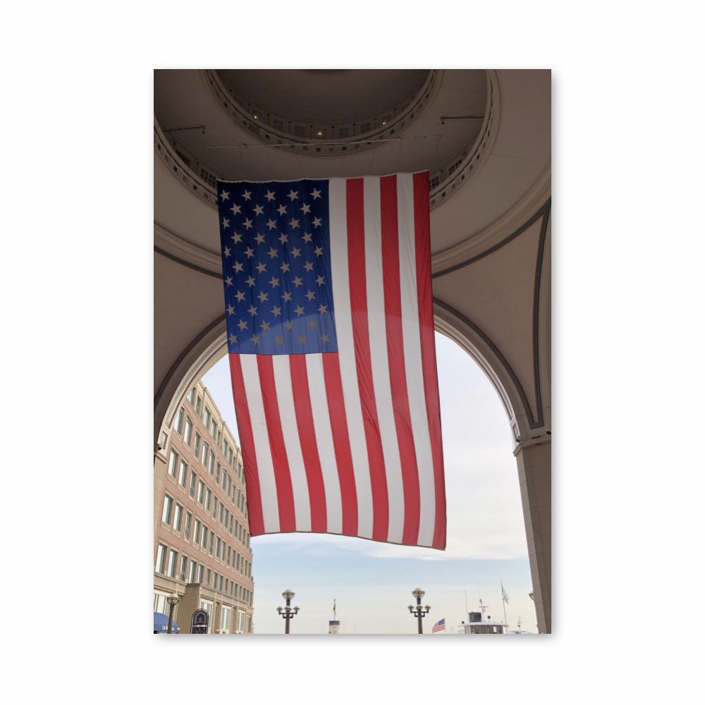 USA Flag Poster