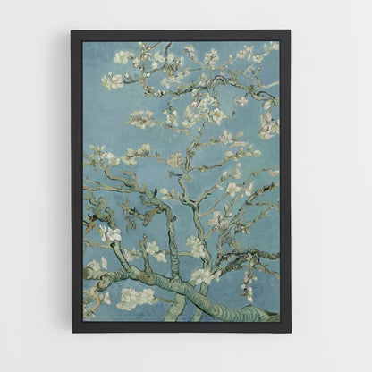 Almond Tree in Bloom Poster