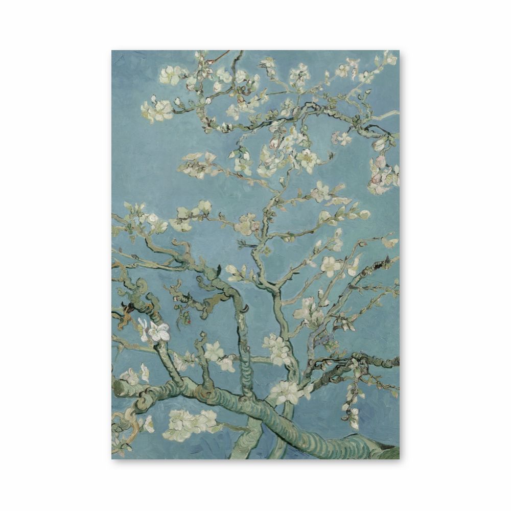 Almond Tree in Bloom Poster