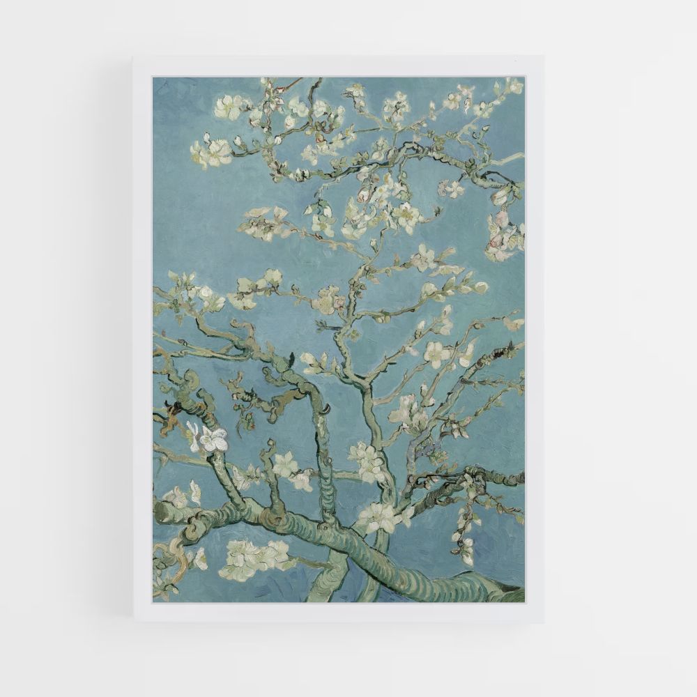 Almond Tree in Bloom Poster